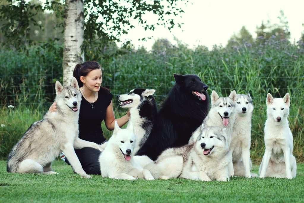 11807793_10153269886509219_5272720533944295938_o