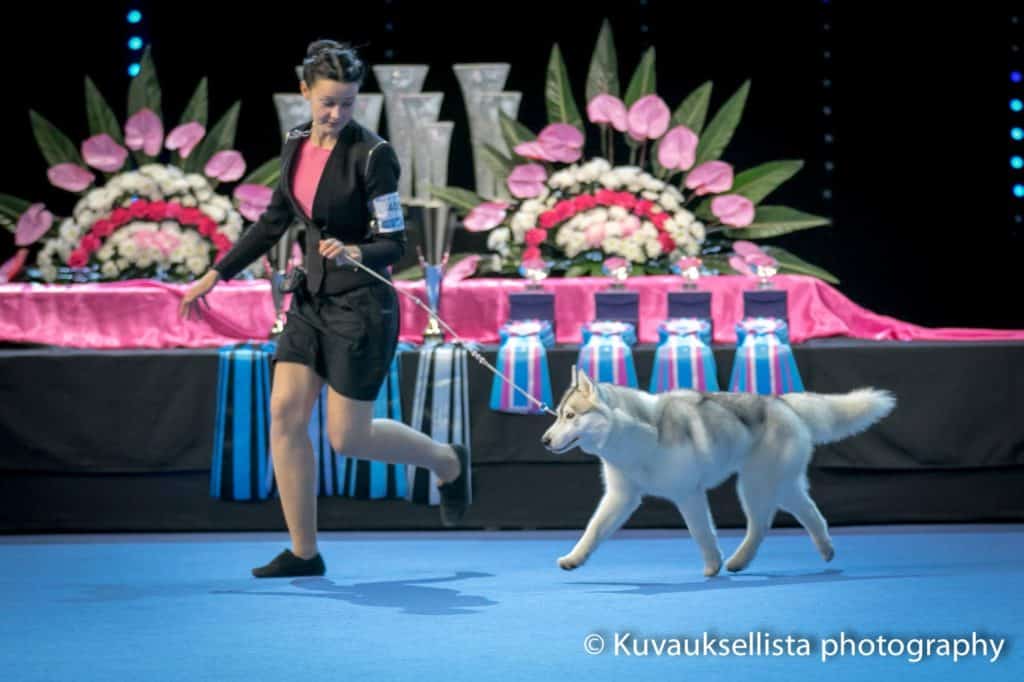 12768345_10153665629399219_1065568427201303474_o