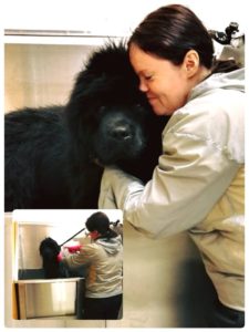 13244612_874834179289304_5916356178033150336_n