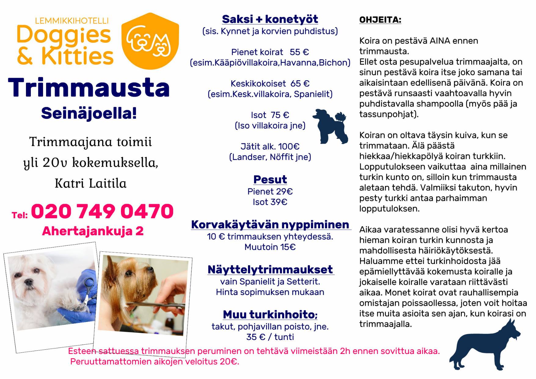 13996246_931683006937754_4325440102406265919_o