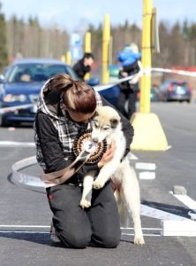 1619499_10152247634529219_5613558098259504324_n