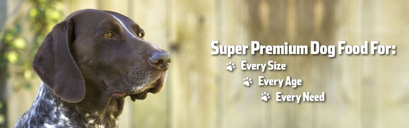 home-hero-banner-every-size-final