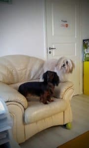 IMG-20161011-WA0000 (1)