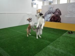 IMG_20160514_161403 (1)