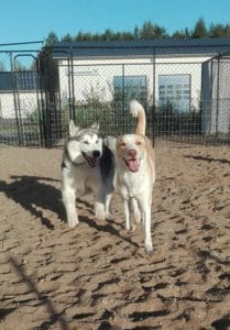 IMG_20160824_191736 (1)