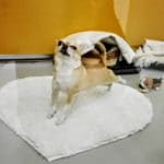 Paikka mistä on hyvä herätä uuteen, toimeliaaseen päivään