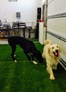 IMG_20170225_093712 (2)