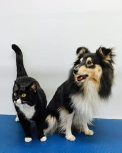 IMG_20170301_093435 (1)