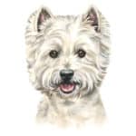 happy-dog-supreme-mini